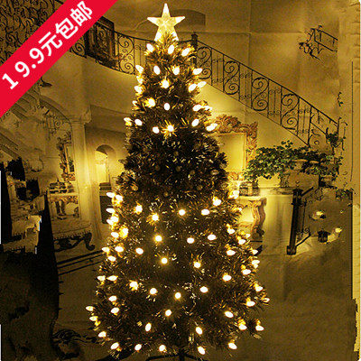 圣诞节装饰品1.5、1.8、2.1、2.4米发光波萝果金色叶子光纤圣诞树