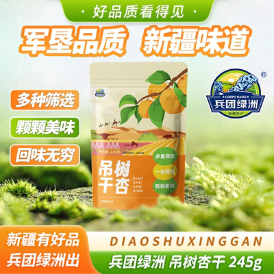 兵团绿洲 吊树杏干245g