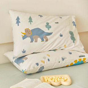 卡通恐龙纯棉枕套一对装 单人可爱100全棉枕头套单个48cmx74cm枕袋