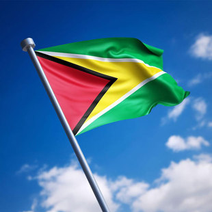 Guyana Flag 90*150CM GUY GY圭亚那国旗高品质涤纶悬挂装饰旗帜
