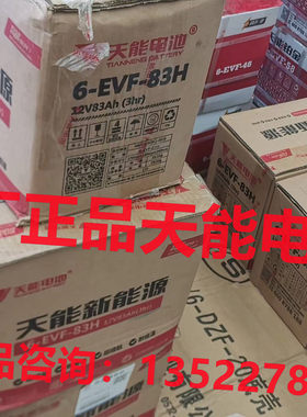 电轿车6-EVF-83H天能电瓶12V83AH