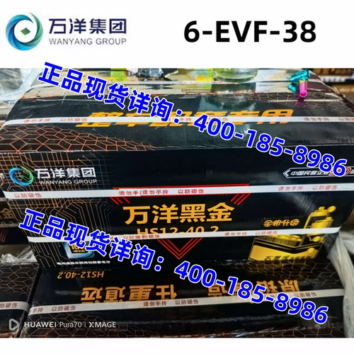 万洋电瓶6-EVF-38黑金HS12-40.2