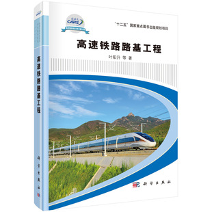 高速铁路路基工程 高速铁路路基设计技术维护方法专著书 路基形式 与基床结构铁路基填料与压实质量控制高铁地基处理方法与新桩型