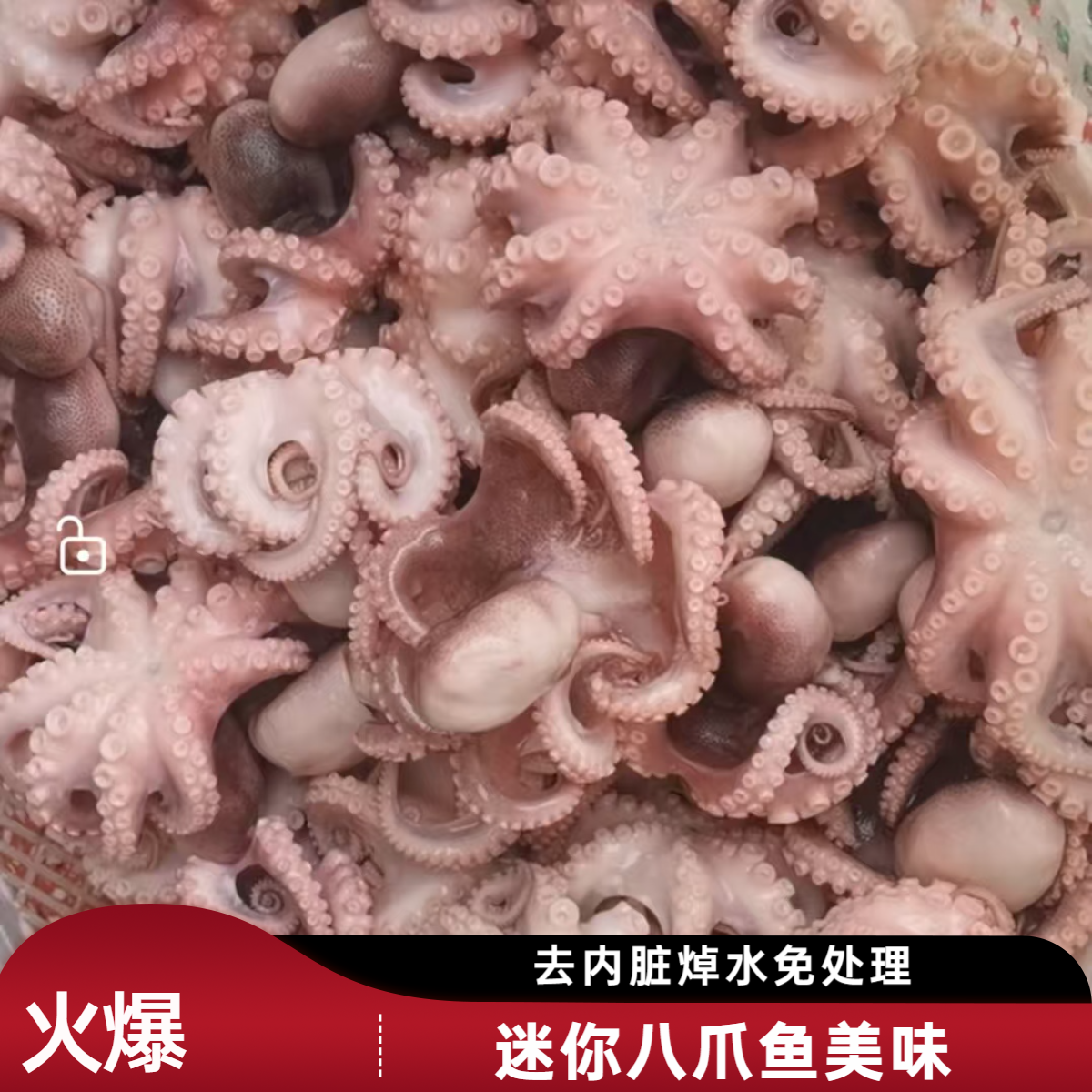 焯水迷你八爪鱼熟冻去内脏小章鱼