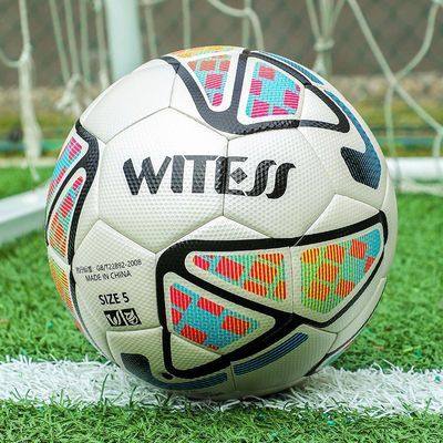 WITESS训练比赛中小学生足球