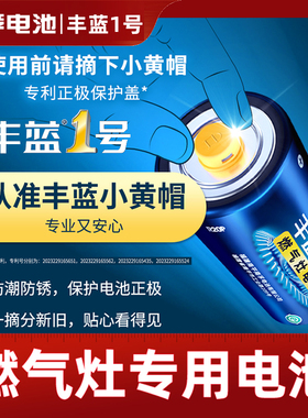南孚丰蓝1号电池一号碳性热水器燃气灶专用电池大号R20P南孚煤气灶煤气炉液化气灶D型批发