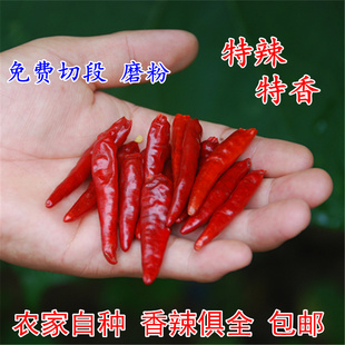 河南内黄新一代特辣超辣农家红干朝天辣椒 可切磨辣椒面粉段500g