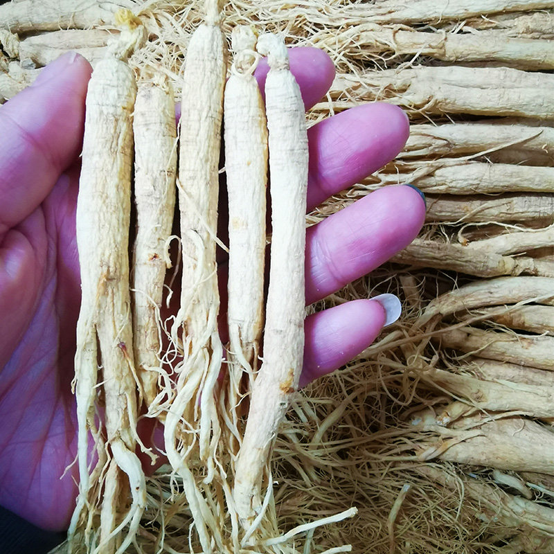 包邮东北特产人参干参长白山自用泡酒煲汤泡水园参白生晒参人参