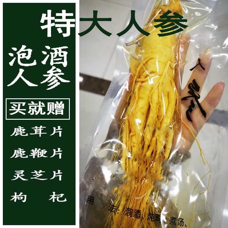 特大鲜人参长白山特产新鲜人参特大支泡酒煲汤送礼整枝参大鲜参