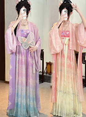 【棠吟】法门寺披衫紫色汉服女日常国风春夏款新款唐制齐胸套装