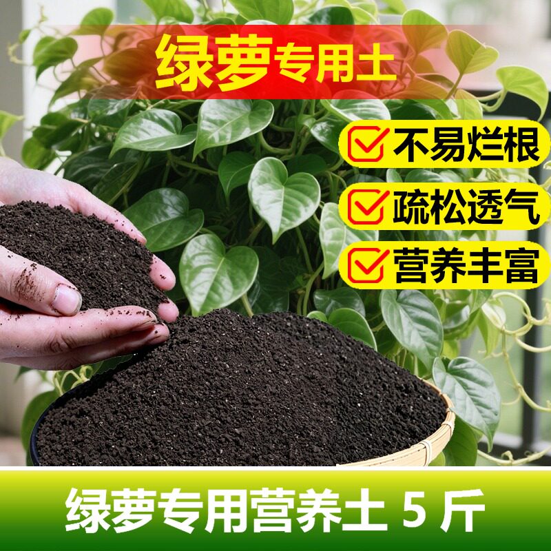 绿萝水培植物专用土料花盆栽绿植营养土花卉土肥绿箩禄萝种植家用