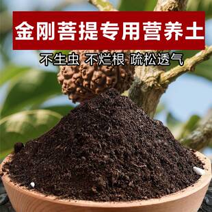 金刚菩提树专用土料营养土叶子发黄掉咻枯萎软叶打蔫黑斑种植家用