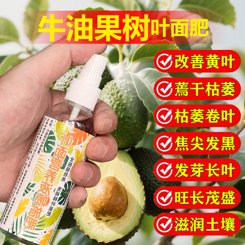 牛油果专用肥料牛油果树营养液开花保花保果结果挫果增产增收肥料