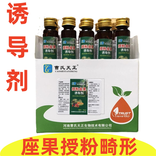 曹氏天正蔬菜瓜果授粉座果诱导剂催花坐果坐果剂受粉保花保果通用