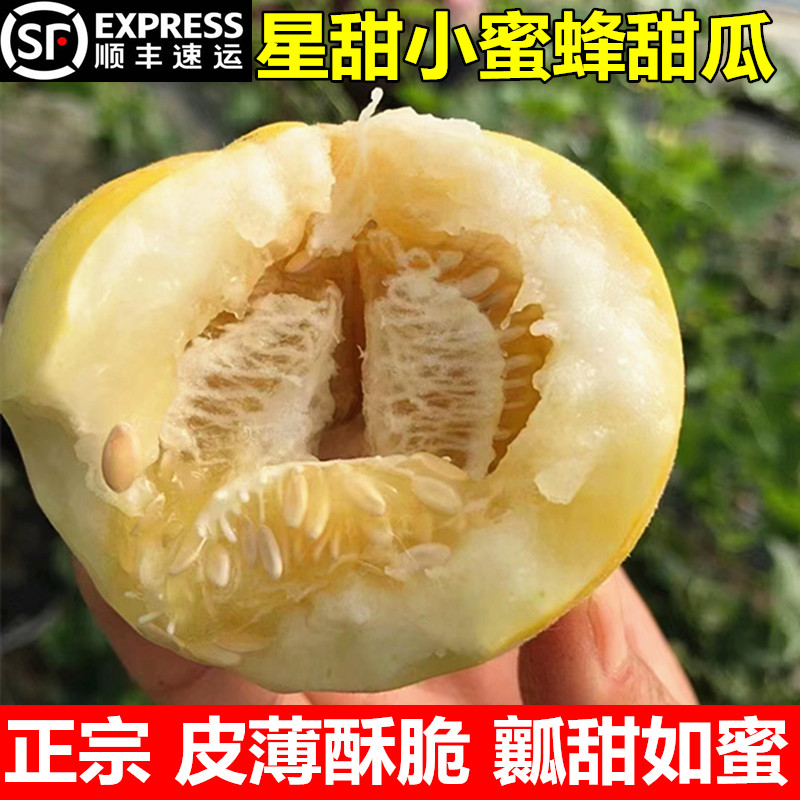 甜瓜香瓜新鲜头茬现摘当季水果纯种正宗星甜20小蜜蜂蜜罐甜瓜-封面