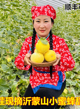 头茬小蜜蜂星甜20蜜罐甜瓜正宗现摘当季孕妇水果甜脆香瓜甜瓜新鲜