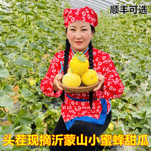 头茬现摘小蜜蜂星甜20甜瓜正当季
