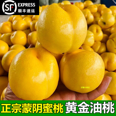 黄油桃新鲜山东蒙阴蜜桃产地直发