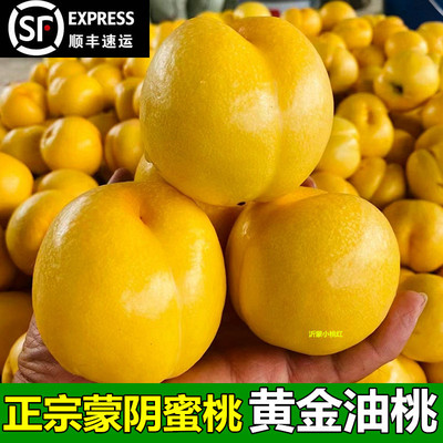 黄油桃新鲜水果正宗山东蒙阴蜜桃产地直发当季整箱黄肉心黄金油桃