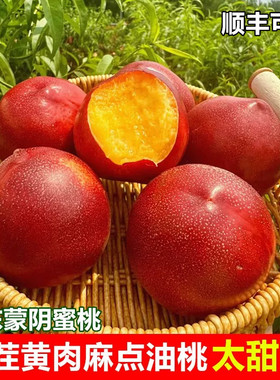 麻点油桃头茬麻脸黄心黄肉正宗山东蒙阴蜜桃现摘整箱当季新鲜水果