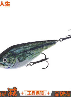 【渔阅人生】路亚狗鱼饵沉水仿真VIB抽动饵S泳姿带响珠26克VIB