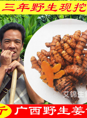 广西野生姜黄新鲜现挖现发