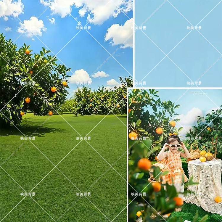 儿童橙子写真绿色果林拍照背景布儿童夏日写真果园商拍服装背景布