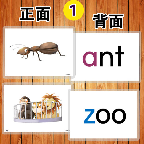 自然拼读Phonics Monster拼读怪兽少儿英语塑封卡片规则塑封教具