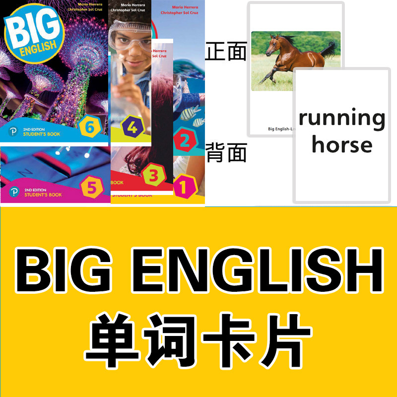新版二版New Big English少儿英语单词塑封闪卡片小学教师学具
