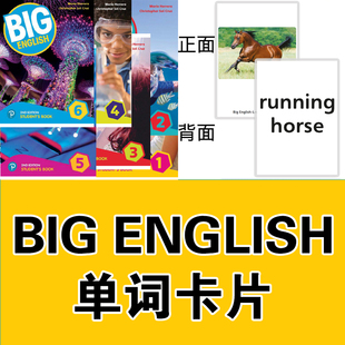 Big New English少儿英语单词塑封闪卡片小学教师学具 二版 新版