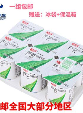 光明125g冰袋泡沫箱果粒酸牛奶