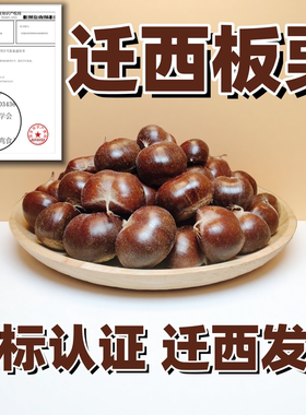 迁西板栗新鲜生板栗2025当季正宗3113带壳油栗燕山毛栗大果栗子
