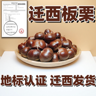 迁西板栗新鲜生板栗2025当季 正宗3113带壳油栗燕山毛栗大果栗子