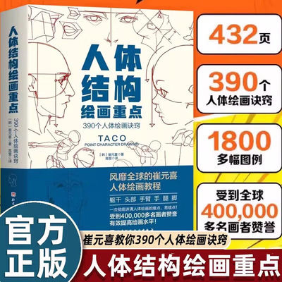 人体结构绘画重点 人体结构 人体绘画 崔元喜 TACO人体 人体结构绘画教程 绘画技巧教程 390个躯干头部手臂手腿脚诀窍人体绘画指南