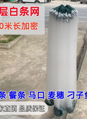 单层100米长渔网粘网餐条白条专用小鱼网丝网沉浮网马口捕鱼网1指