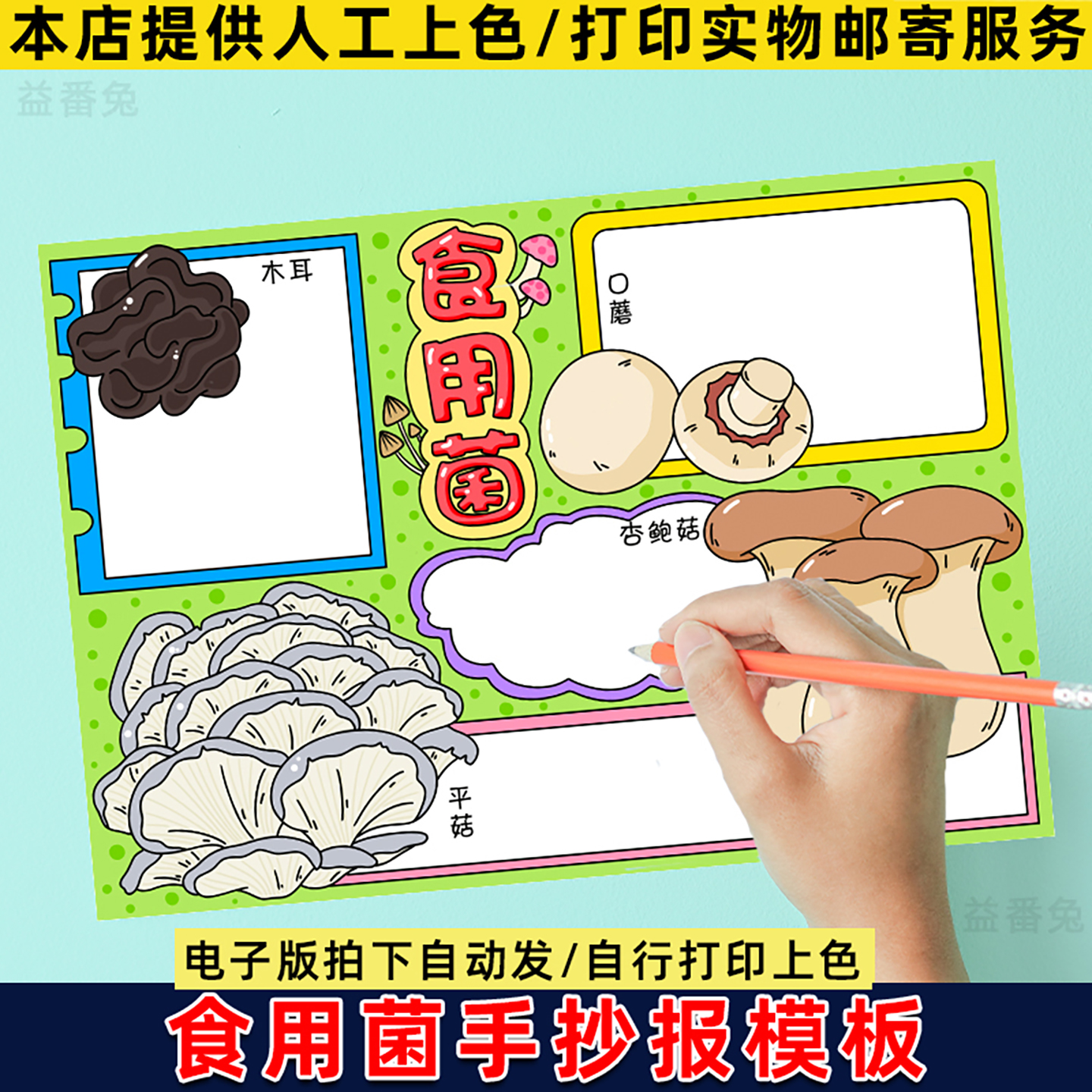 食用菌手抄报模板小学生学习蘑菇菌类种类辨别电子版线稿小报