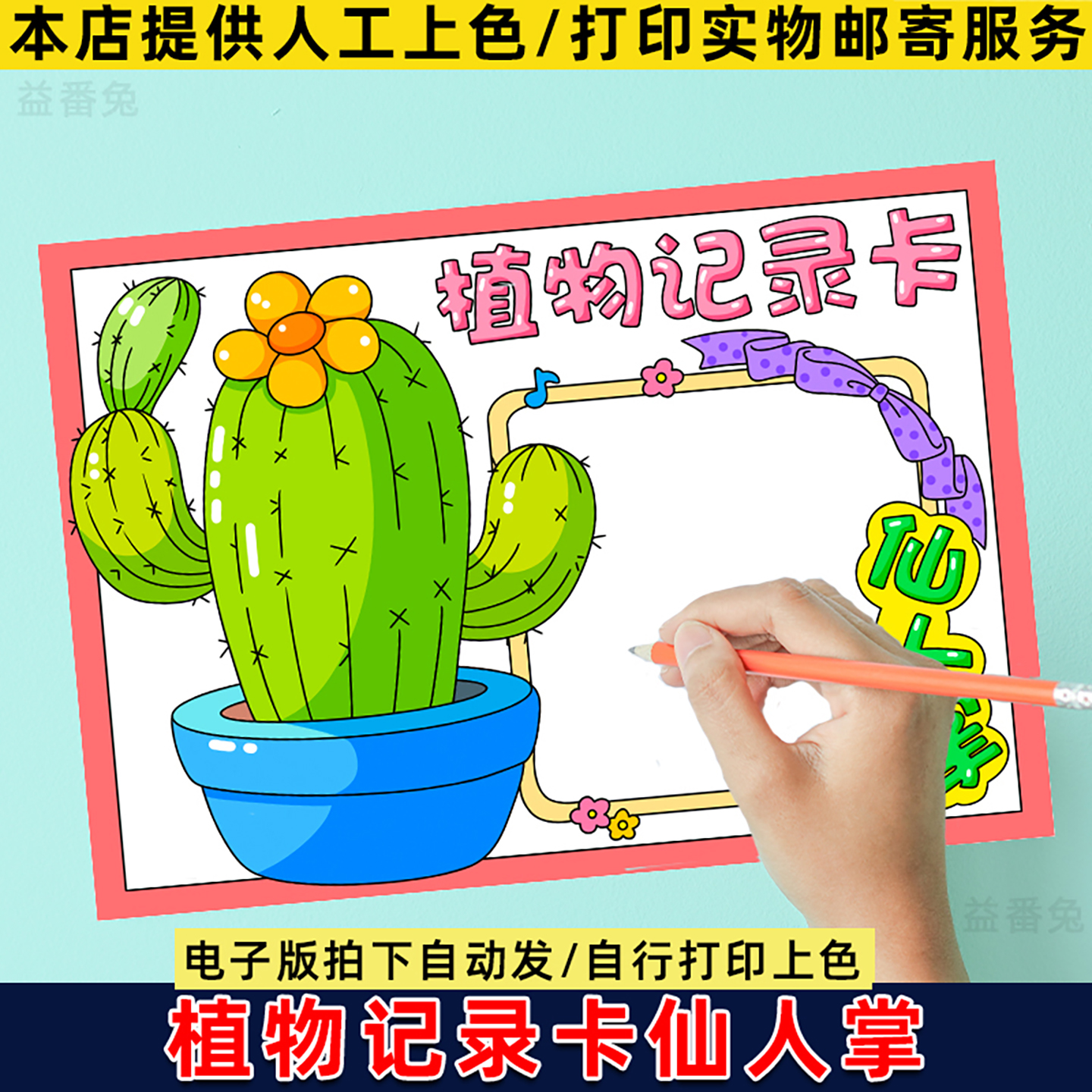 仙人掌手抄报小学生植物观察日记记录模板仙人掌植物观察记录小报