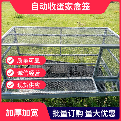 户外鸡棚鸡笼养鸡大号家禽防雨家用大型养殖搭建鸽笼孔雀鸡舍批发