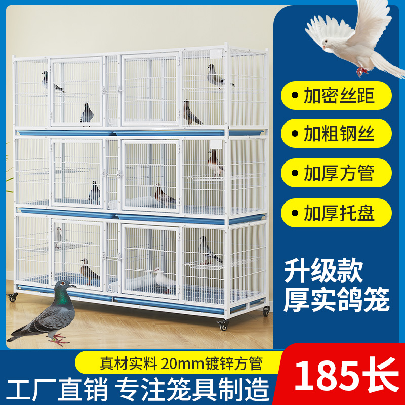 迪美佳加密鴿子籠防老鼠黃鼠狼