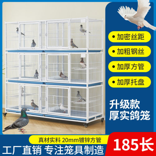 迪美佳加密鸽子笼防老鼠黄鼠狼