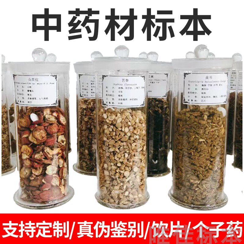 生药中草药材建设个子药干制标本瓶装定制玻璃鉴别展示医院药店用