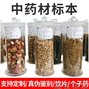 生药中草药材建设个子药干制标本瓶装定制玻璃鉴别展示医院药店用