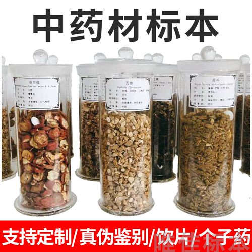 生药中草药材建设个子药干制标本瓶装定制玻璃鉴别展示医院药店用