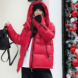 新款现货！加厚保暖面包羽绒服女浙宝180A/货号1856/p295控398，女装羽绒服，浙宝180A