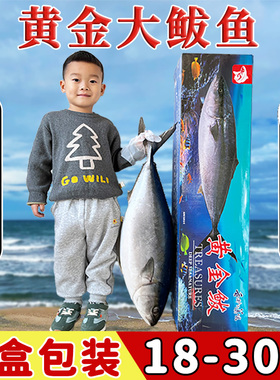 黄金大鲅鱼10-30斤整条新鲜深海鱼饺子馅非马鲛鱼春节送人礼盒装