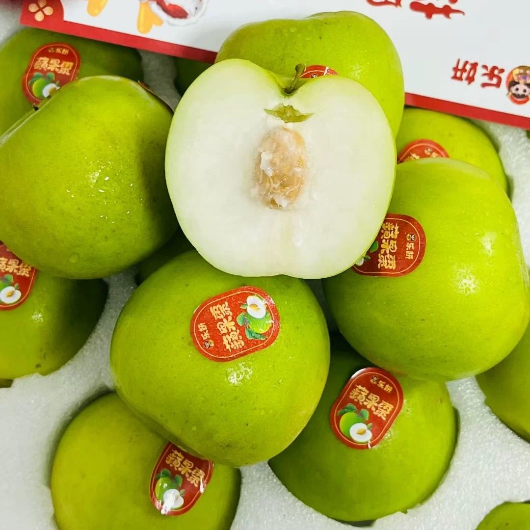 新鲜云南苹果枣青枣水果脆甜多汁当季时令果【顺丰包邮】,水产肉类/新鲜蔬果/熟食,枣,淘宝优惠券,粉丝福利购,淘宝优惠卷