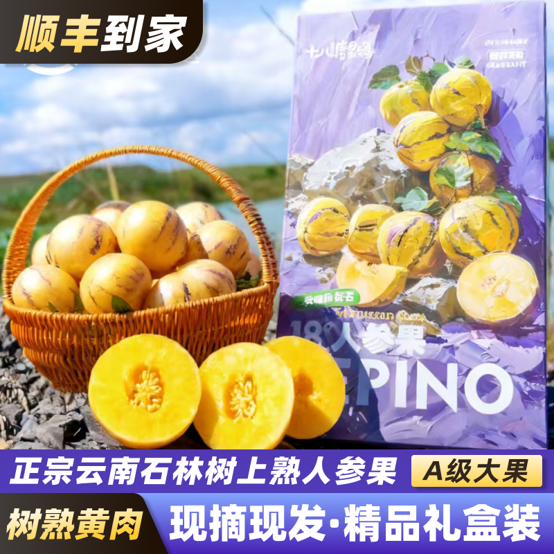 顺丰包邮云南石林人参果树上熟