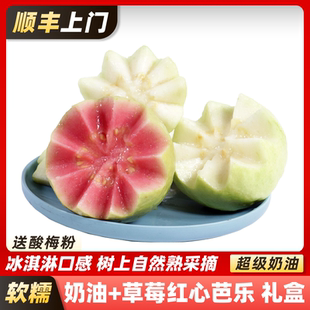 顺丰包邮广西软糯红白双拼奶油芭乐番石榴新鲜水果奶油冰淇淋礼盒