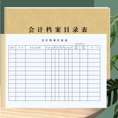 麦亿本会计档案目录文件夹