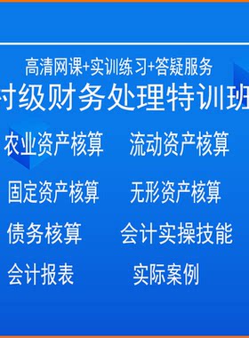 村级会计财务全盘账税务账务处理做账成本核算视频网课答疑服务